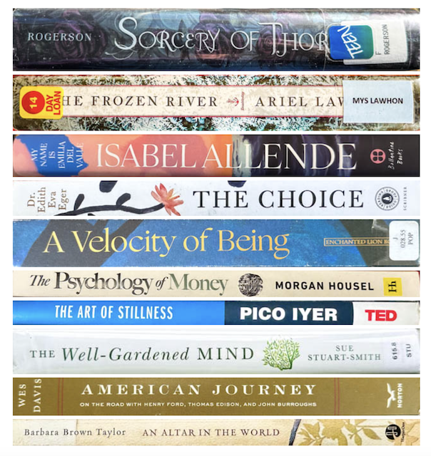 Reading Challenge 2025 Update